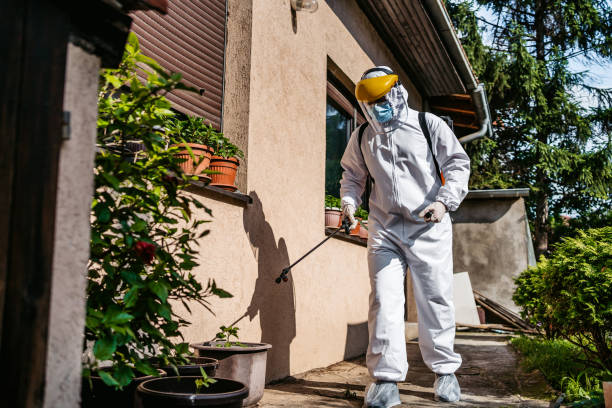 Best Termite Control Services  in Trumbull Center, CT