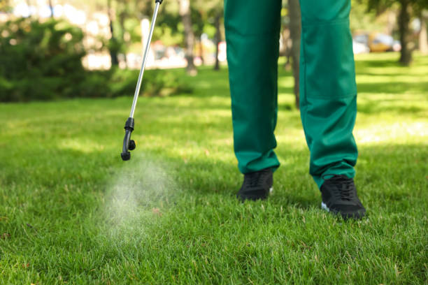 Best Affordable Pest Control Services  in Trumbull Center, CT