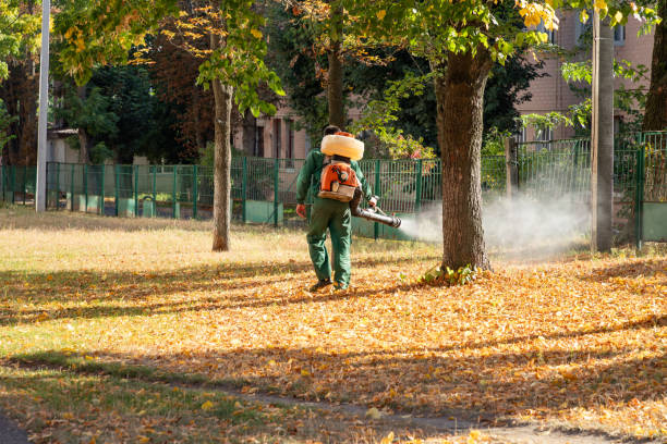 Best Pest Inspection Near Me  in Trumbull Center, CT