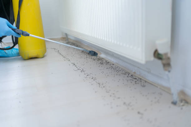 Best Best Pest Control Companies  in Trumbull Center, CT