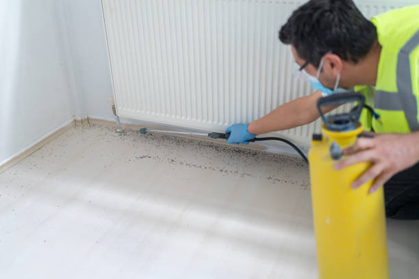 Best Mosquito Control Services  in Trumbull Center, CT